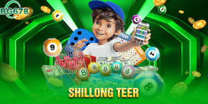 shillong teer